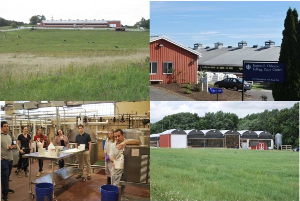 Dairy Facilities: KDC (Top), Creamery (B-L), Cattle Resource Unit (B-R)