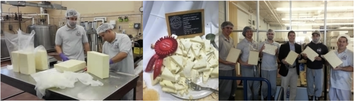 Creamery staff work to produce award winning UConn cheese