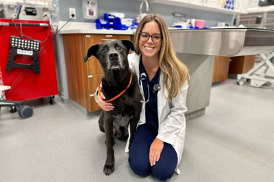 Alumna posing with dog inside of a vet clinic office