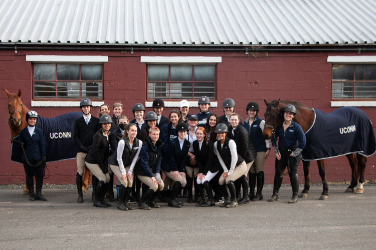 Equine teams posing as a group