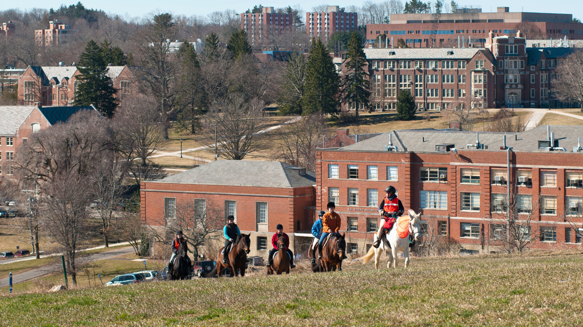 horse riding on horsebarn hill