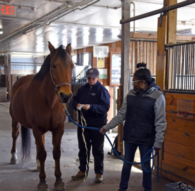 Student and instructor leading horse into stall in Horse Unit 1