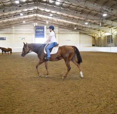 Student riding horse in arena