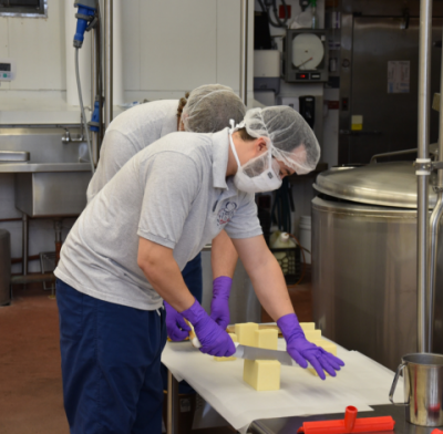 Creamery Staff working with blocks of cheese inside of the Creamery