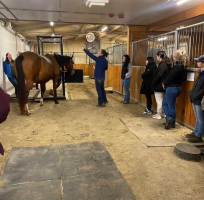 Ferrier providing lecture to students in horse unit.