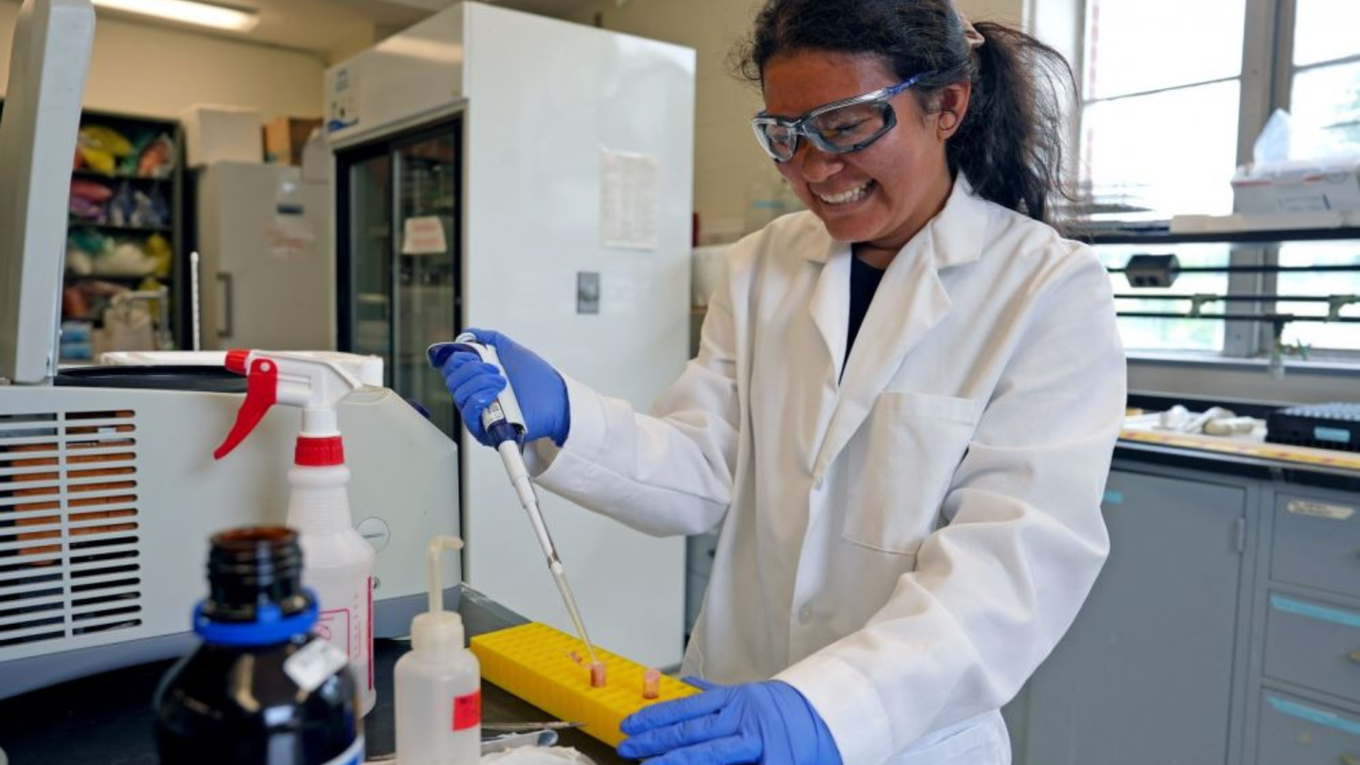 Alana Wolfson working in the Reed lab. (Jason Sheldon/UConn Photo)