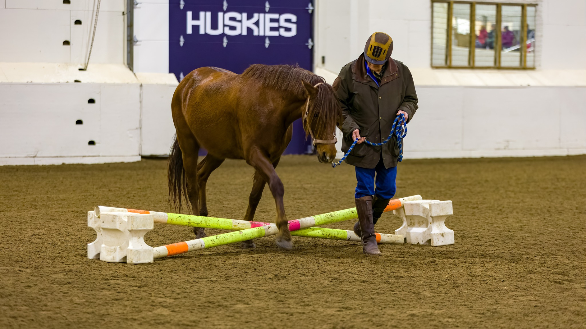 Equestrian leading horse during CT Horse Symposium.