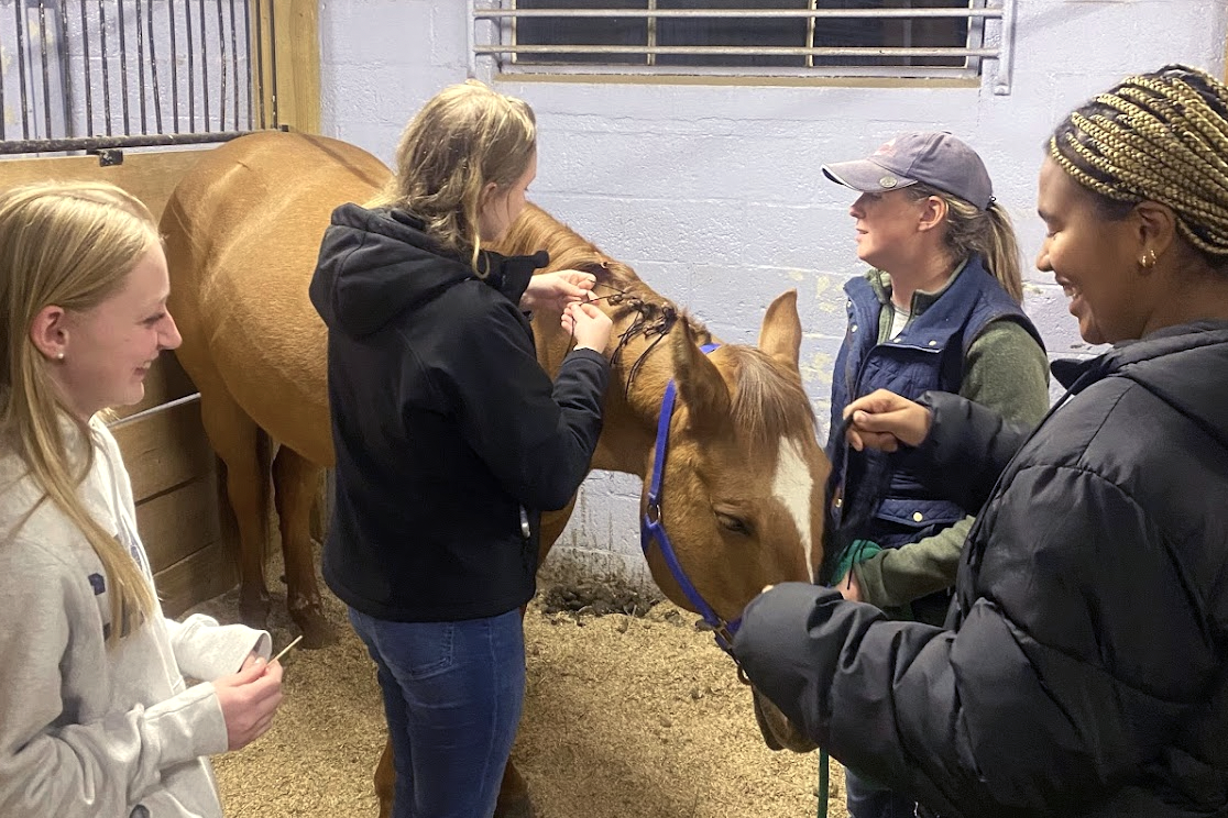 Equine club