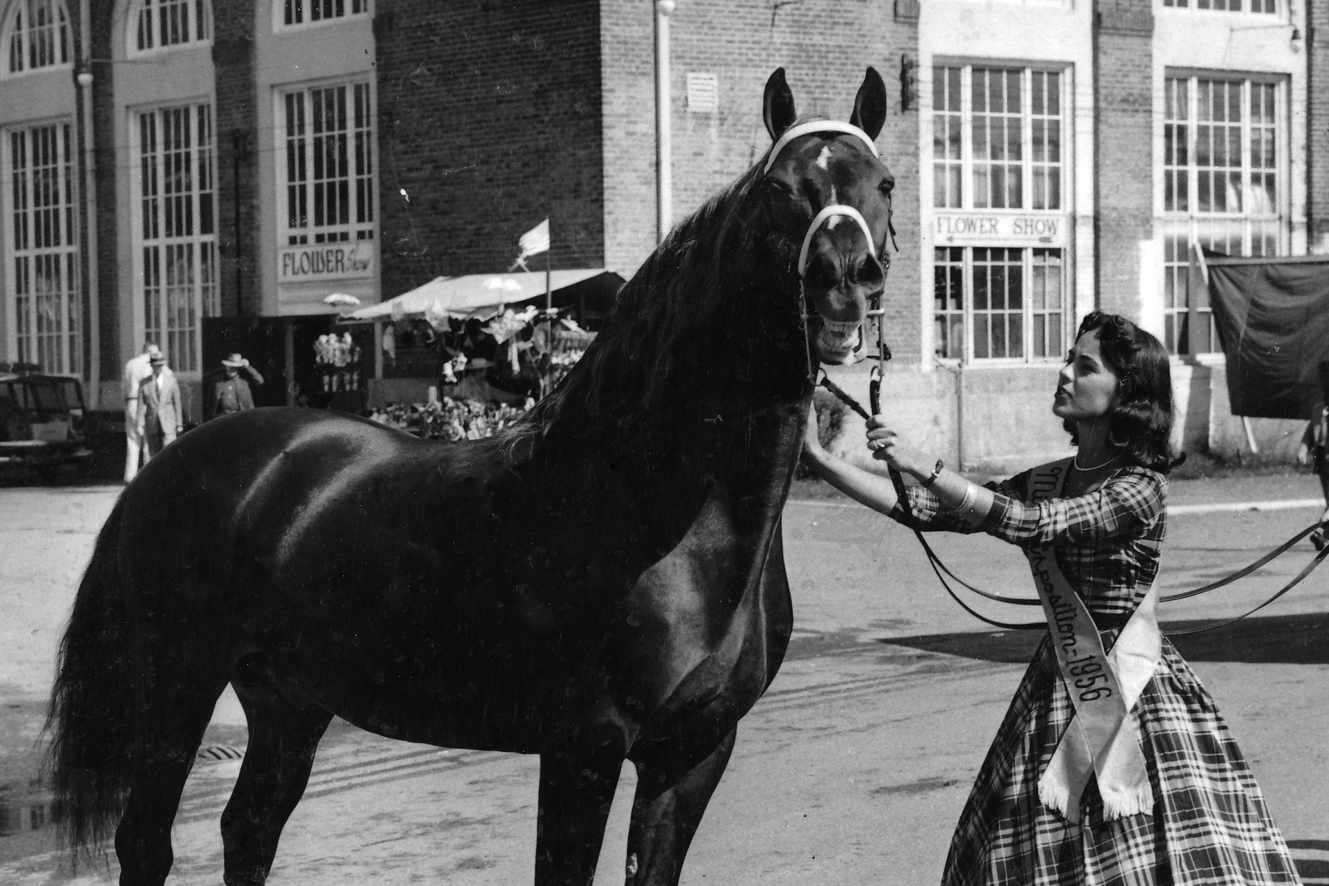 Horse and handler at the Big E, 1956