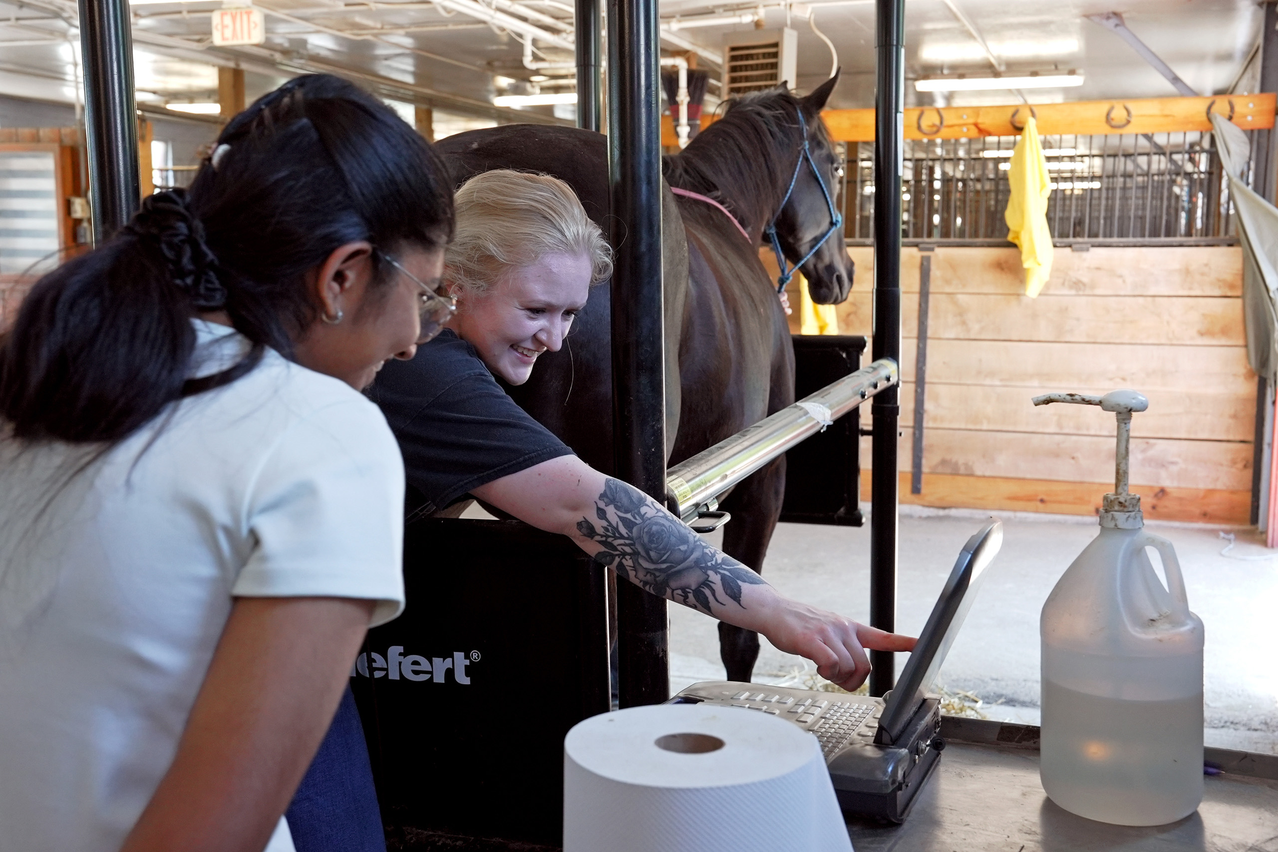 people looking at an ultrasound of a horse