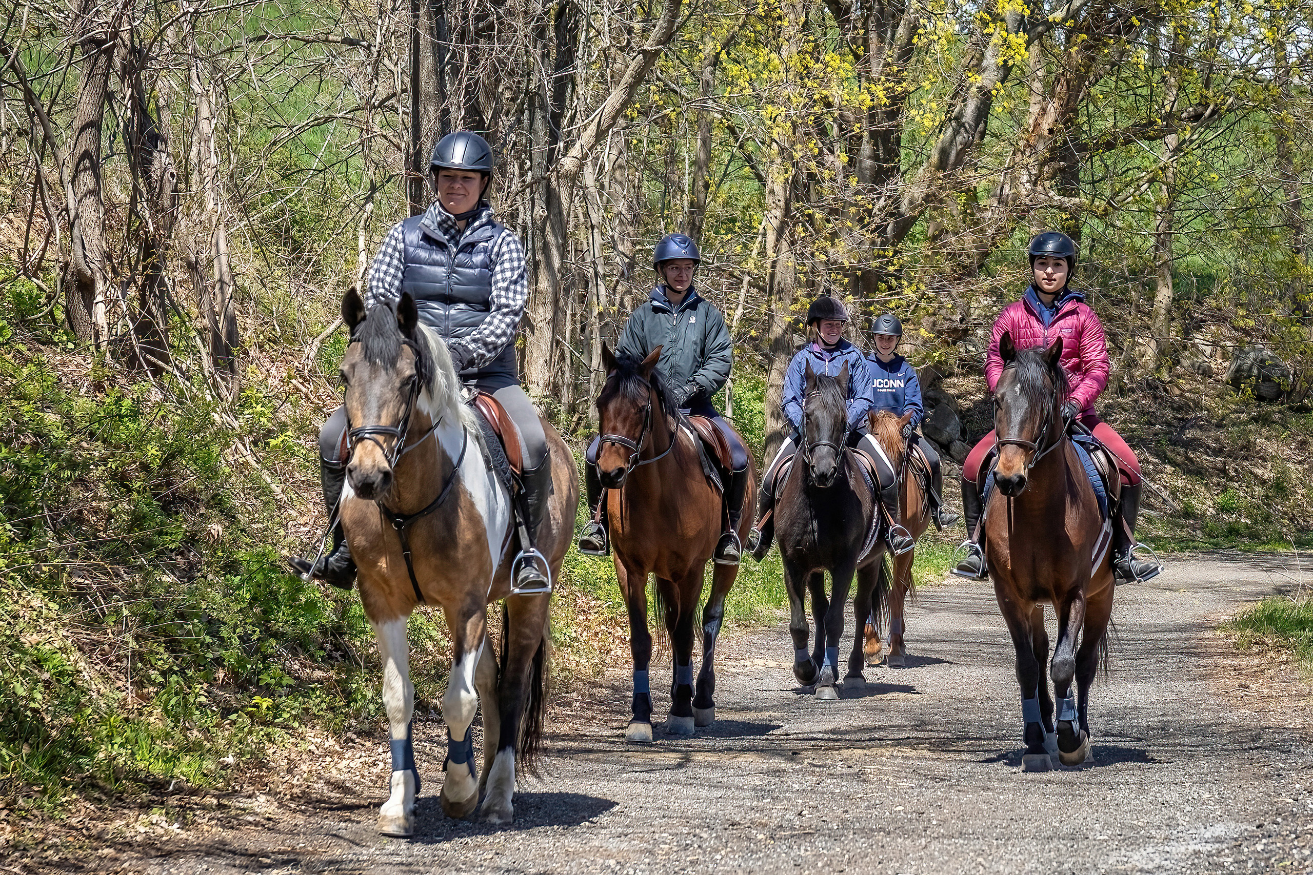 a small group trail riding on horses