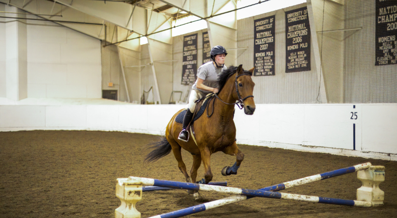 Student Jumping Obstacle with Horse