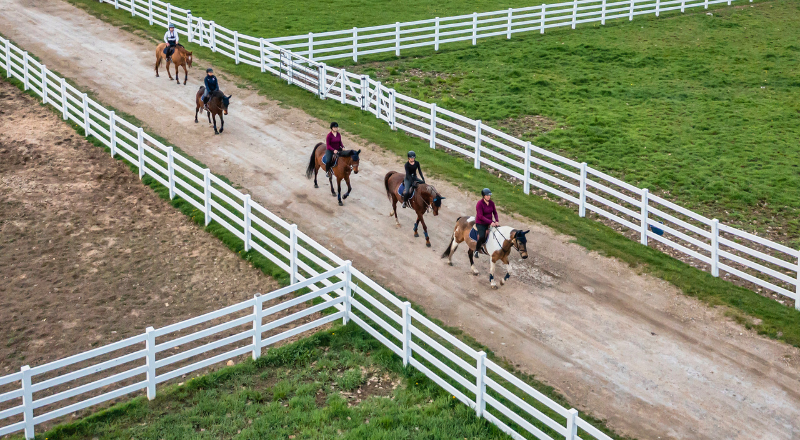 Students Riding Horses Outside