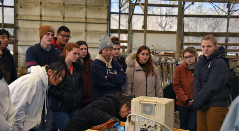 Students engaging in a livestock ultrasound