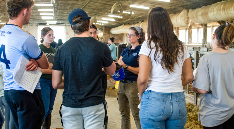 Students receiving instruction from faculty member