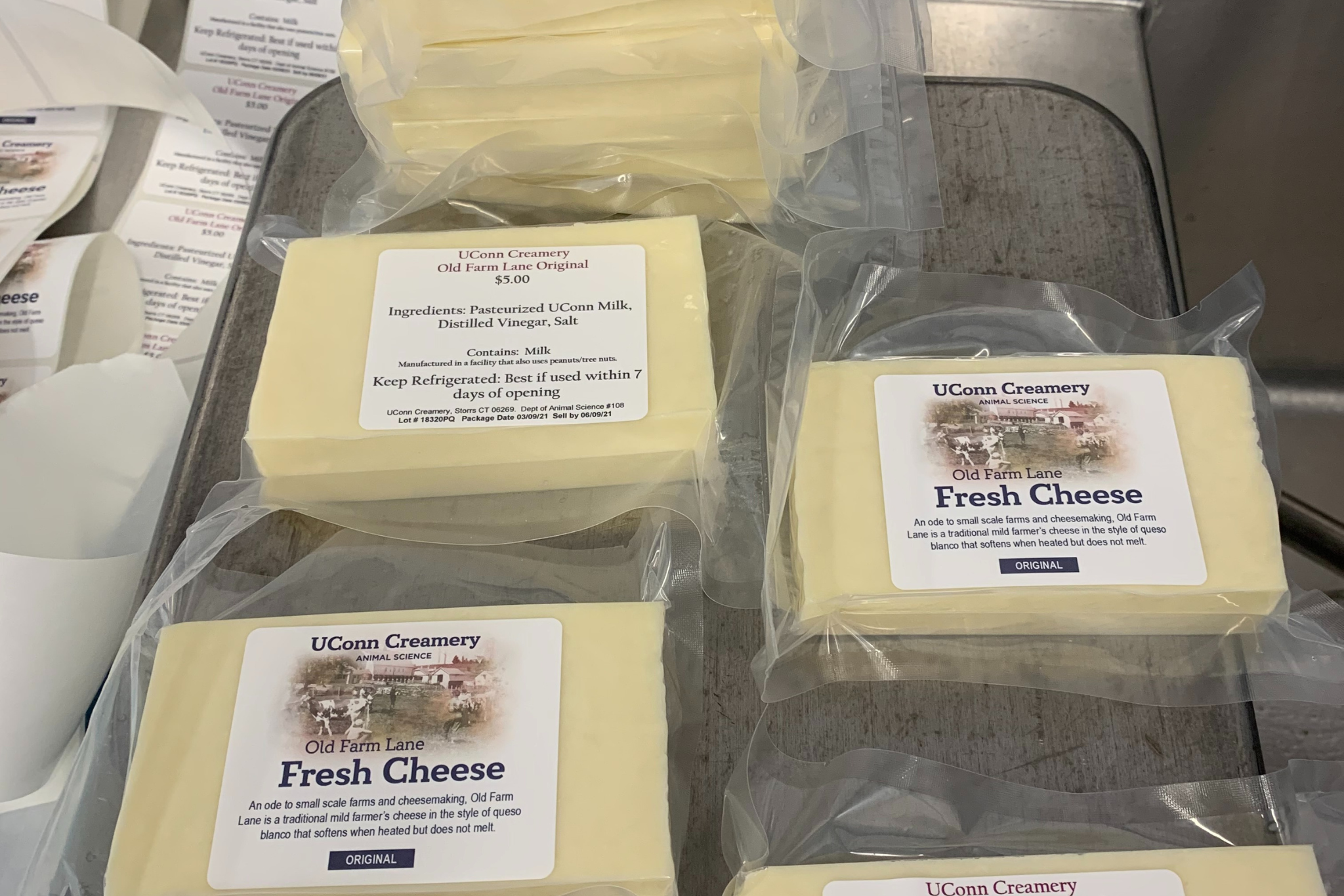 Cheeses on display in UConn Dairy Bar