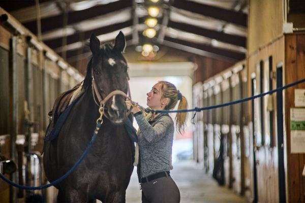 Student getting horse ready to ride.