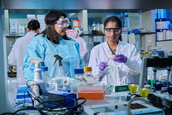 Student working alongside advisor in lab.