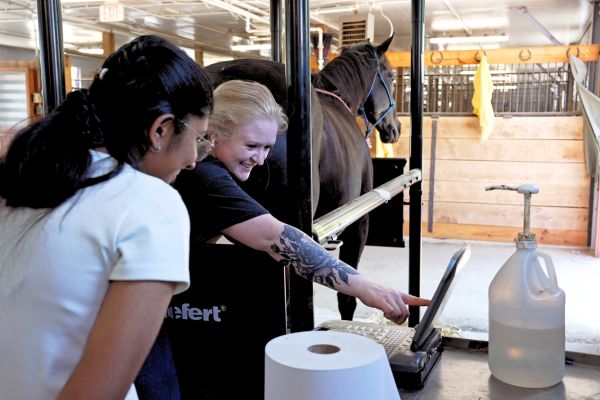 Two students working with horse.