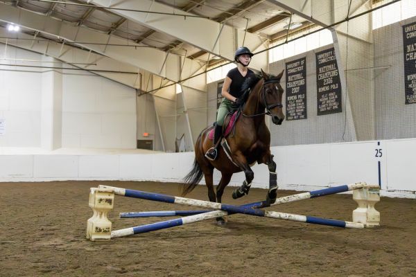 Student and horse jumping over obstacle.